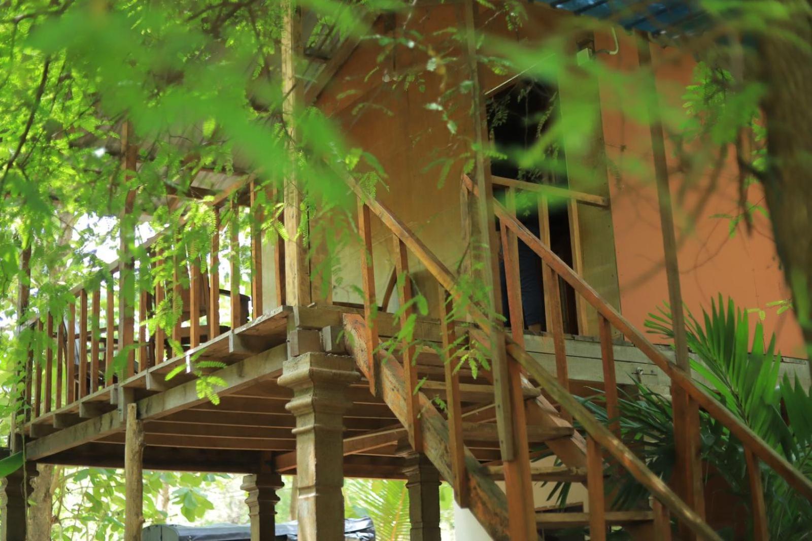 فندق مبيت وإفطار Free View Tree House & *